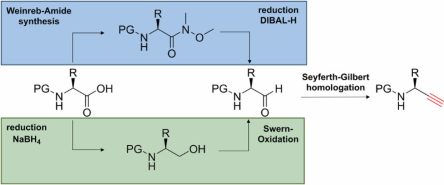 Fig. 3 Two general strategies to synthesize alpha-amino alkynes.