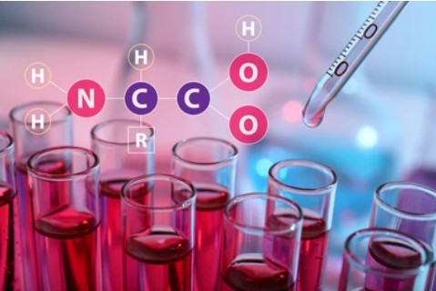 Liquid-Phase Peptide Synthesis (LPPS) Technology
