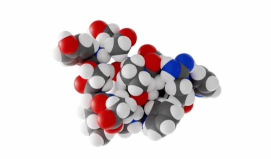 Recombinant Peptide Expression Technology
