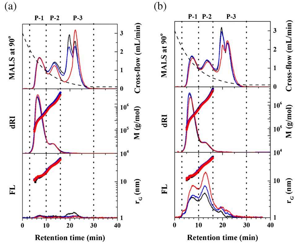 Fig. 3 AF4 fractograms of unlabeled and labeled GA.