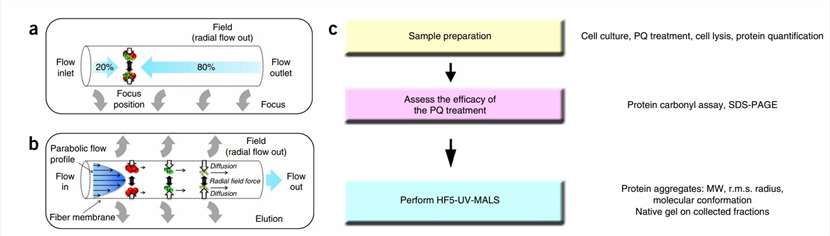 Fig. 1 Schematic of HF5.