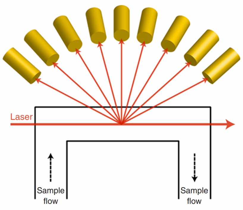 Fig. 1 Multi-angle light scattering.