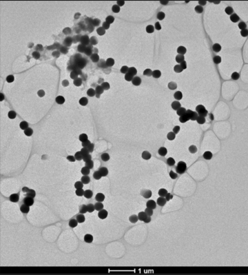 Fig. 1 TEM image of BSA-loaded nanoparticle.
