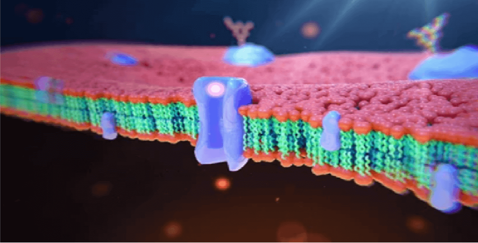 Multi-angle Dynamic Light Scattering (MADLS) Technology
