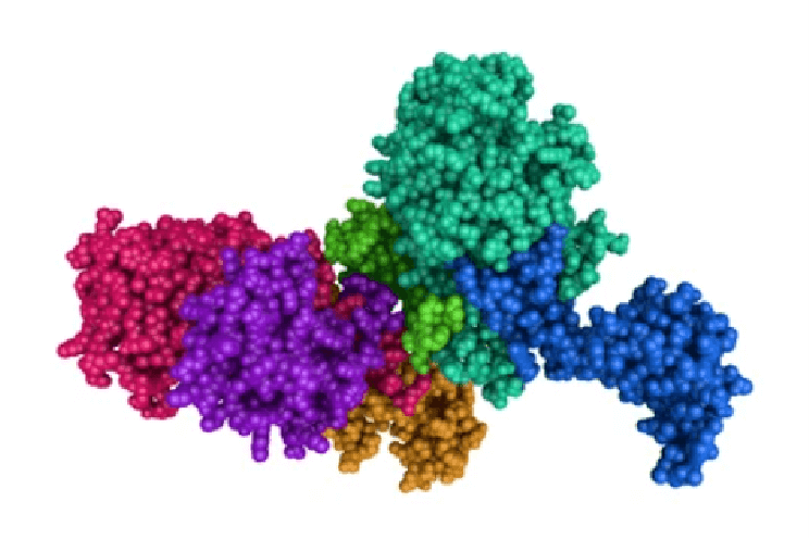 X-ray Diffraction (XRD) Technology