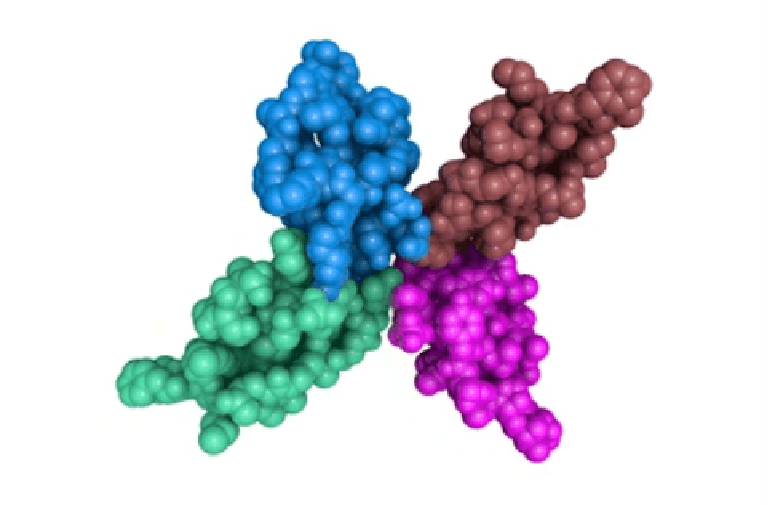 Cryo-electron Microscopy (cryo-EM) Technology