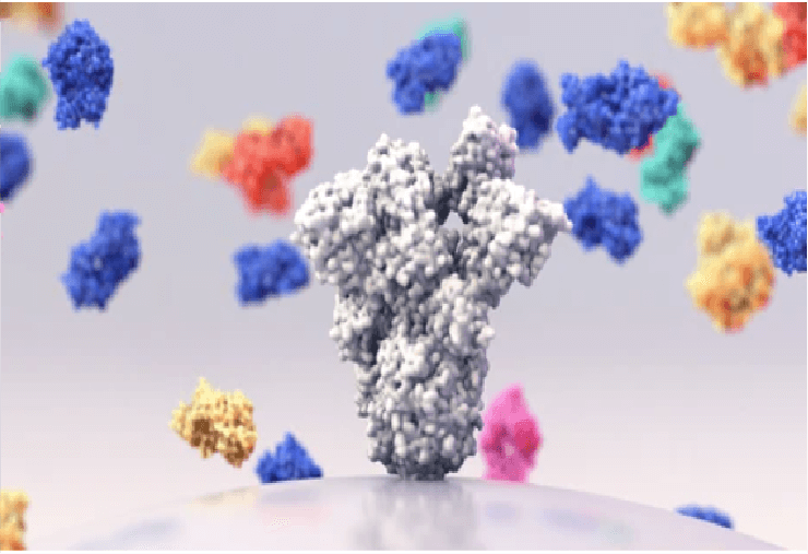 Differential Scanning Fluorescence (DSF) Technology