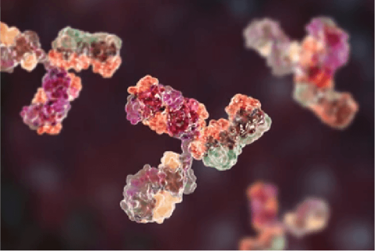 Analytical Ultracentrifugation (AUC) Technology