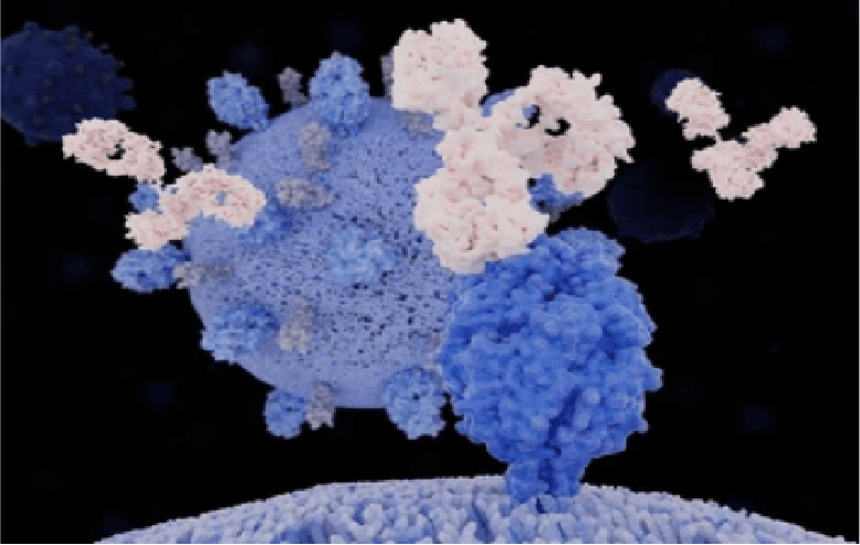 Micro-Flow Imaging (MFI) Technology