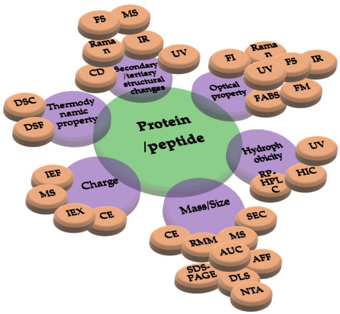 Fig. 1 Different analytical techniques for for characterization of protein and peptide drugs.