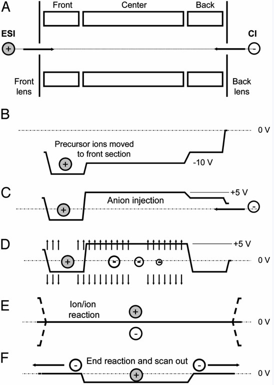 Fig. 2 Schematic of steps involved in the operation of the LTQ -MS for peptide sequence analysis by ETD.