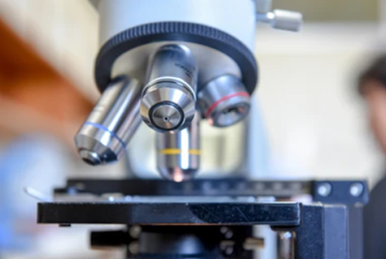 Transdermal Formulation Analysis and Testing Services