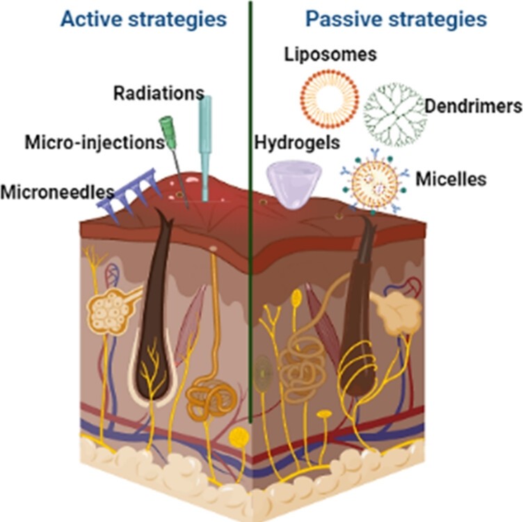 Fig.1 Schematic representation of drug delivery strategies.