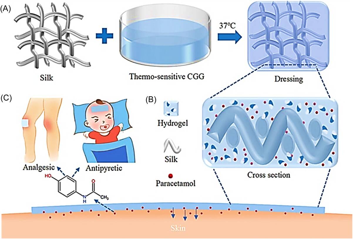 Fig.1 Illustration of thermosensitive hydrogel-based medical dressing synthesis and application.