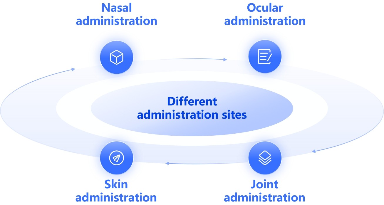 Fig.2 Thermosensitive gel patch formulation for various administration sites.