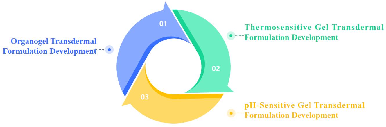 Fig.2 Various types of gel transdermal formulations developed at CD Formulation.