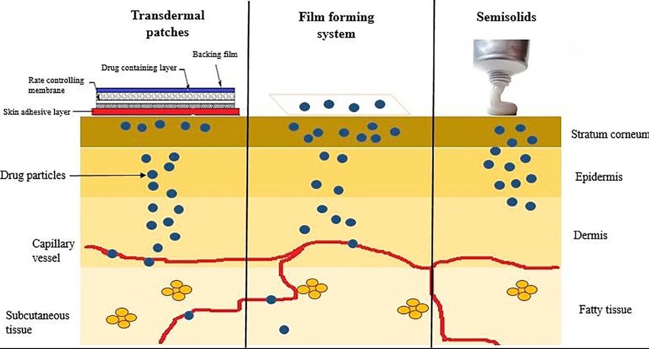Fig.1 Topical drug delivery systems overview.