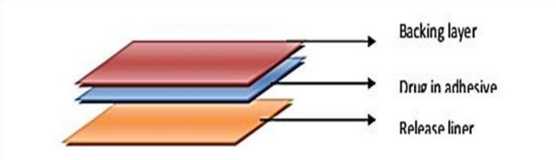 Fig.1 Drug matrix in adhesive.