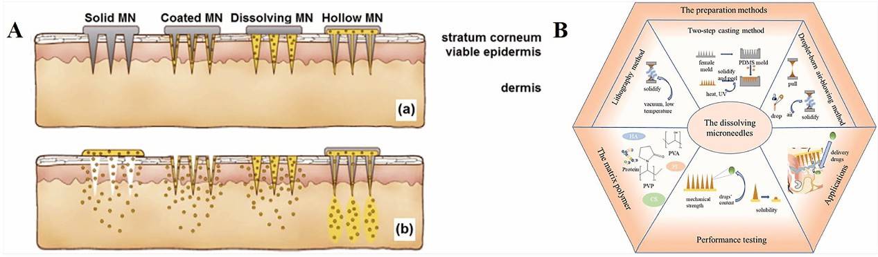 Fig.1 Illustration of different microneedles applied to skin and their drug delivery mechanisms.