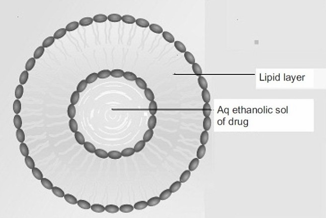 Fig.1 Diagram of Ethosomes demonstrating their vesicular structure and enhanced permeability.