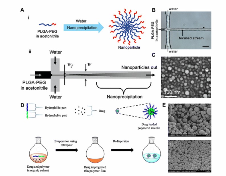 Fig.2 Visual representation of polymeric nanoparticle synthesis methods, showing steps from preparation to final nanoparticle formation.