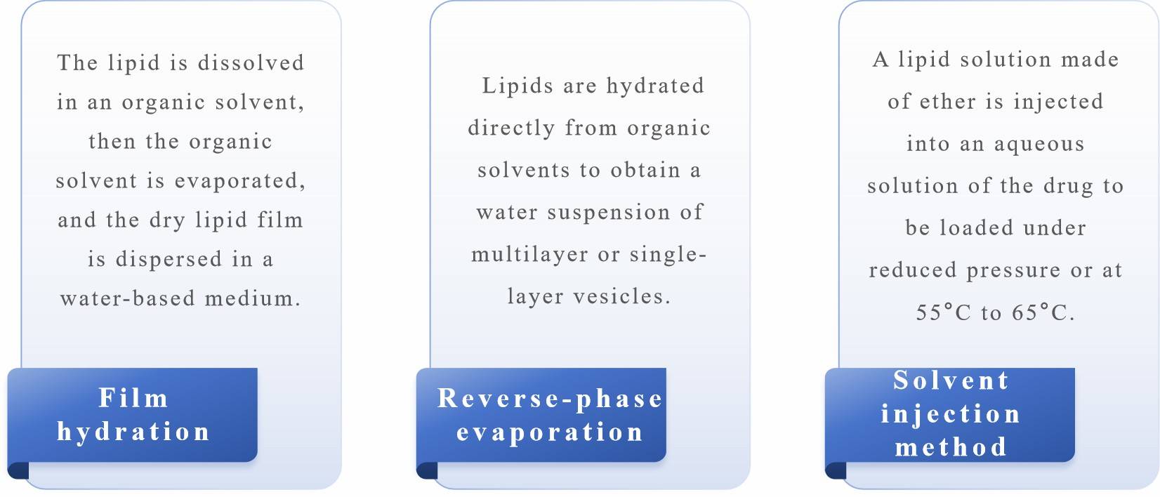Fig.2 Illustration of liposome preparation techniques highlighting methods for developing effective transdermal patches.