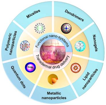 Fig.1 Functional nanosystems for promoting transdermal drug delivery.