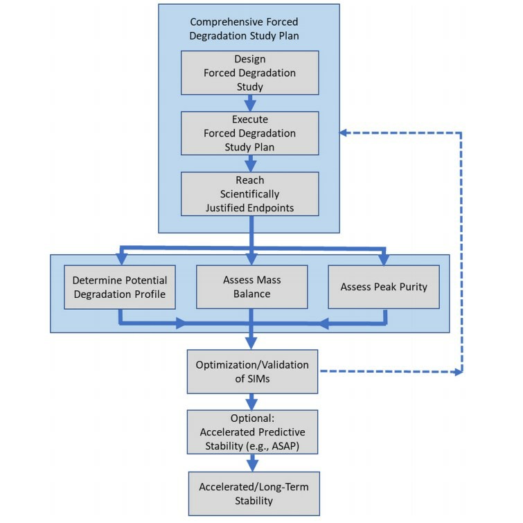 Fig.2 Strategy for Forced Degradation Testing.