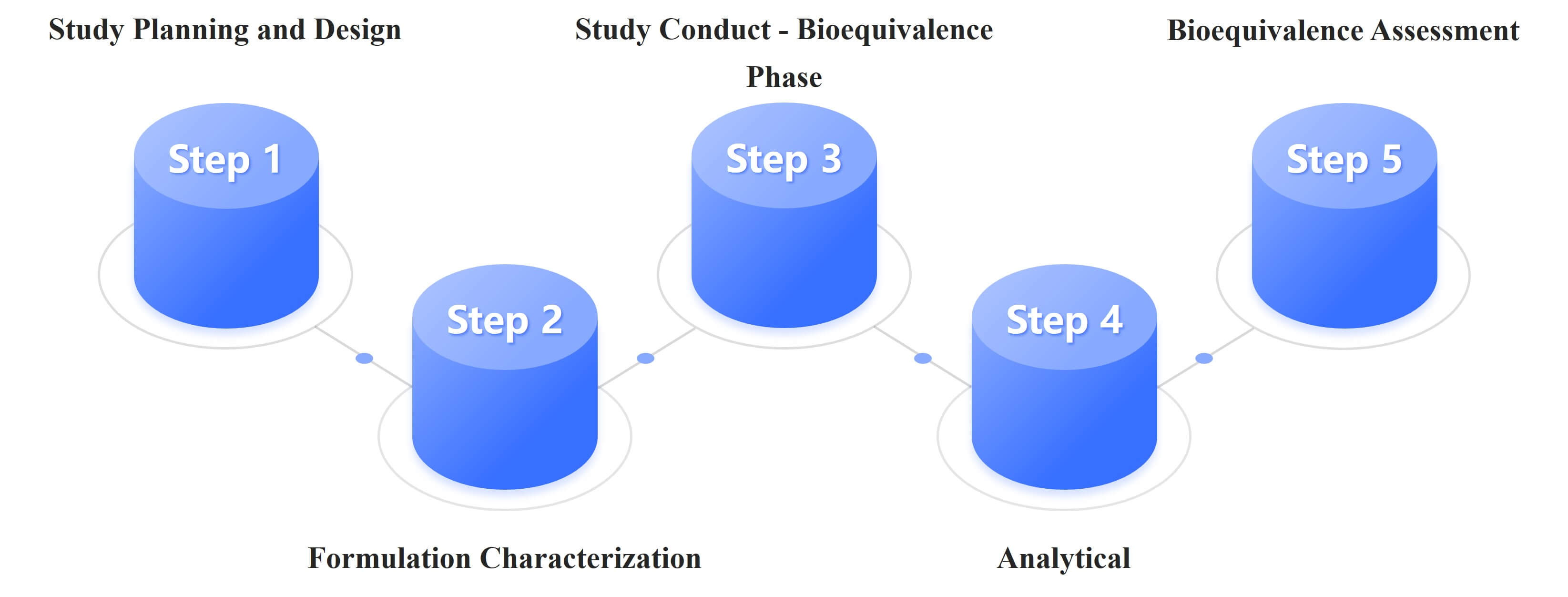 Fig.1 Workflow of transdermal formulation bioequivalence evaluation.
