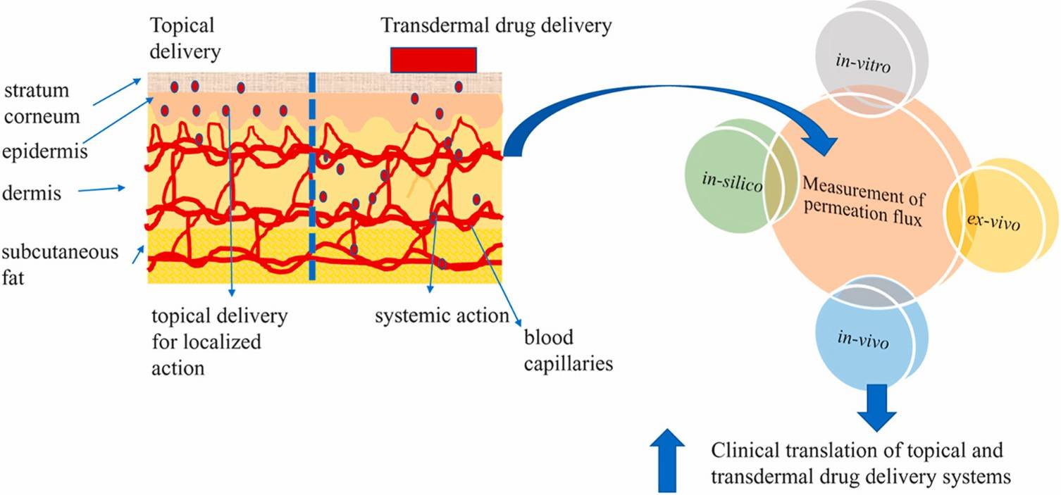 Fig.1 Illustration of transdermal drug delivery showing skin penetration and drug absorption.