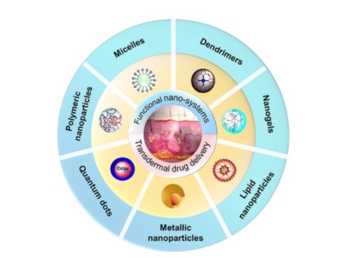 Fig.1 Schematic illustration of representative functional nanosystems to enhance transdermal delivery.