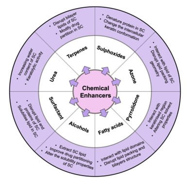 Fig.1 Classification and mechanisms of action of chemical enhancer groups for transdermal delivery.