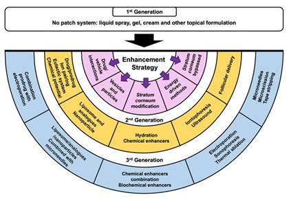 Fig.2 Technologies for enhancing transdermal drug delivery.
