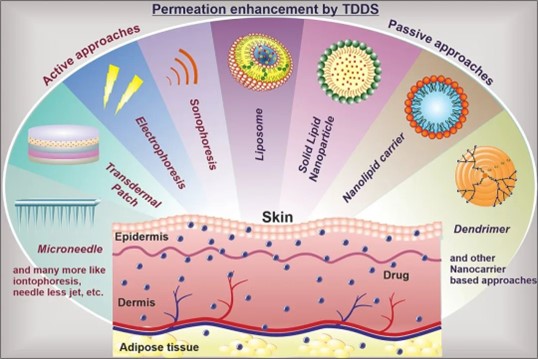 Fig.2 Permeation enhancement by transdermal drug delivery system.