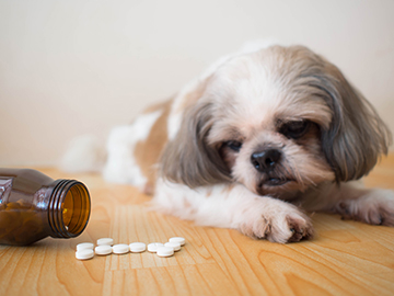 Veterinary APIs
