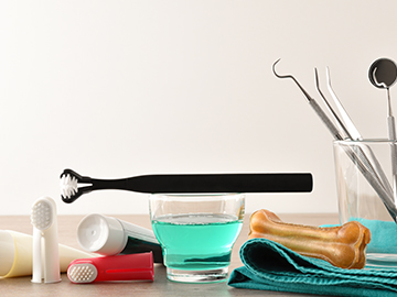 Veterinary Toiletry Ingredients