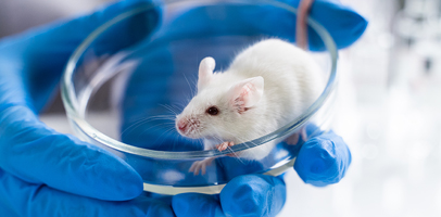 One-stop Solution for Veterinary Drugs Pharmacology Research