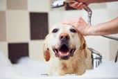 Rinse with water