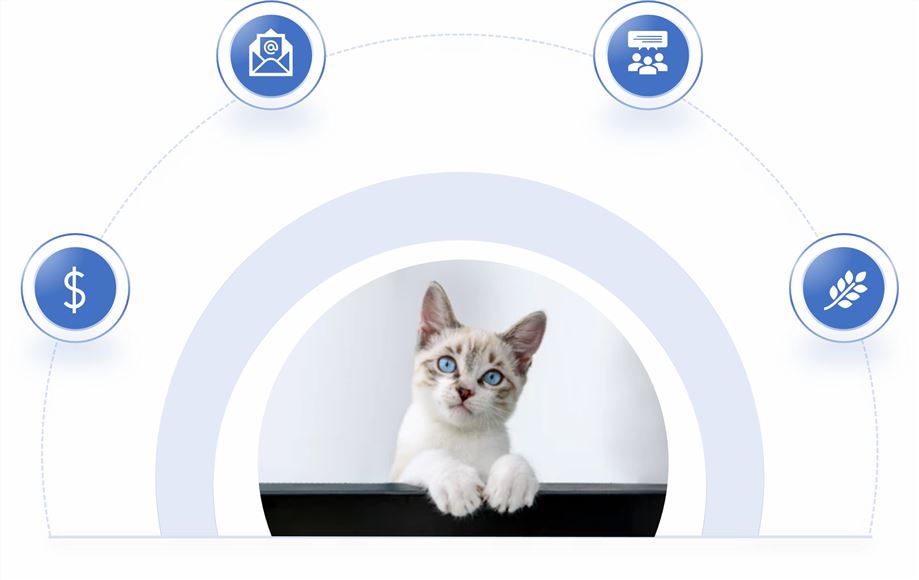 Veterinary Product Excipient Customization