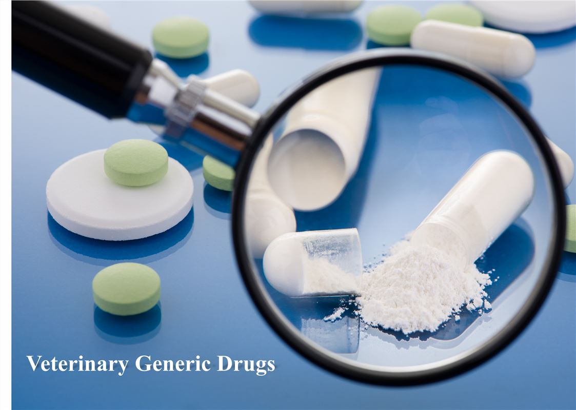 Consistency Evaluation of Veterinary Generic Drugs