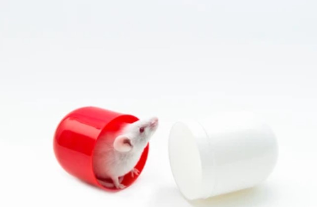 Pharmacodynamic Services for Veterinary Drugs