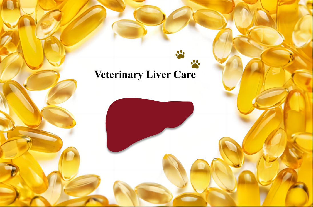 evaluation-of-liver-care-function-1