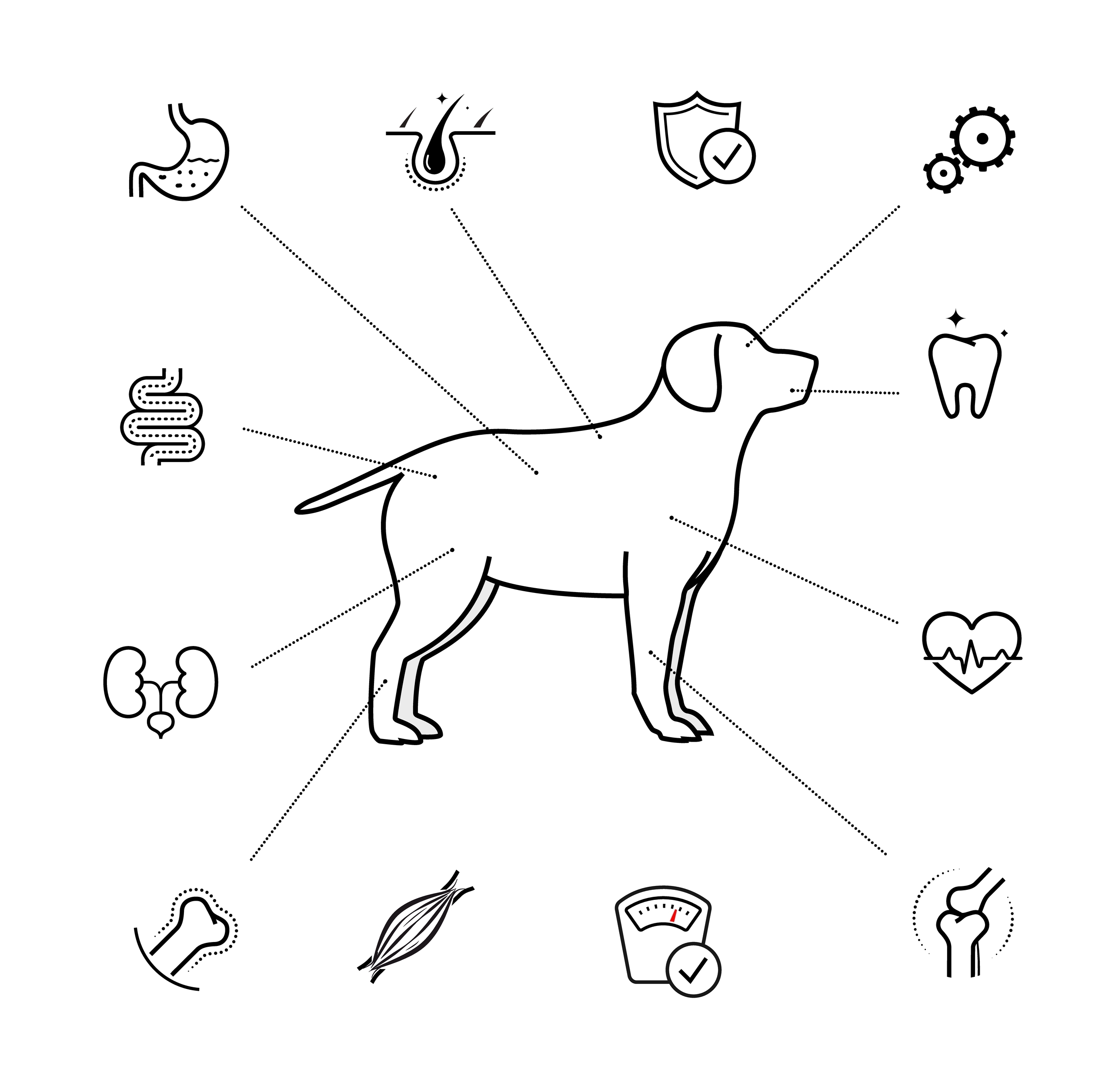 health-benefit-assessment-for-veterinary-foods
