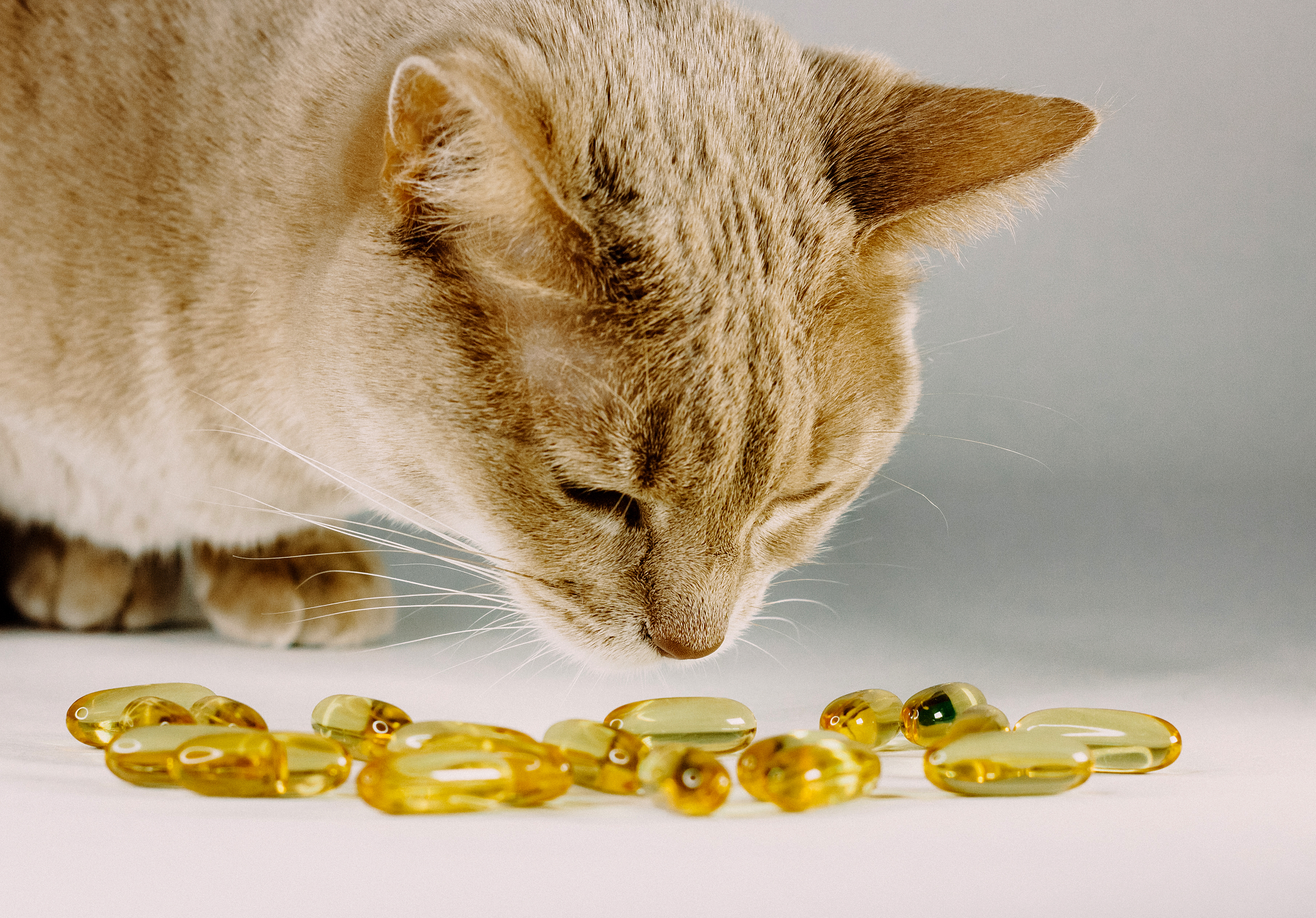 veterinary-product-contaminant-detection-1