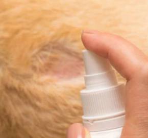 Veterinary Spray Formulations