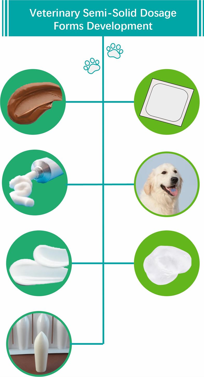 Veterinary Semi-Solid Dosage Forms Development - CD Formulation