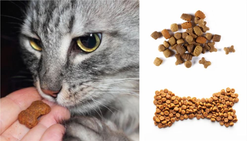 Veterinary Soft Granule and Lozenge Customization